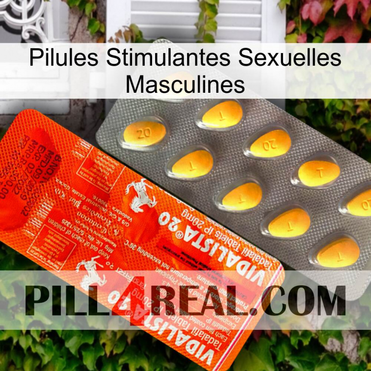 Male Sexual Stimulant Pills new01